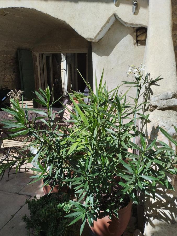 Chez Les Filles Bed & Breakfast Dions ภายนอก รูปภาพ