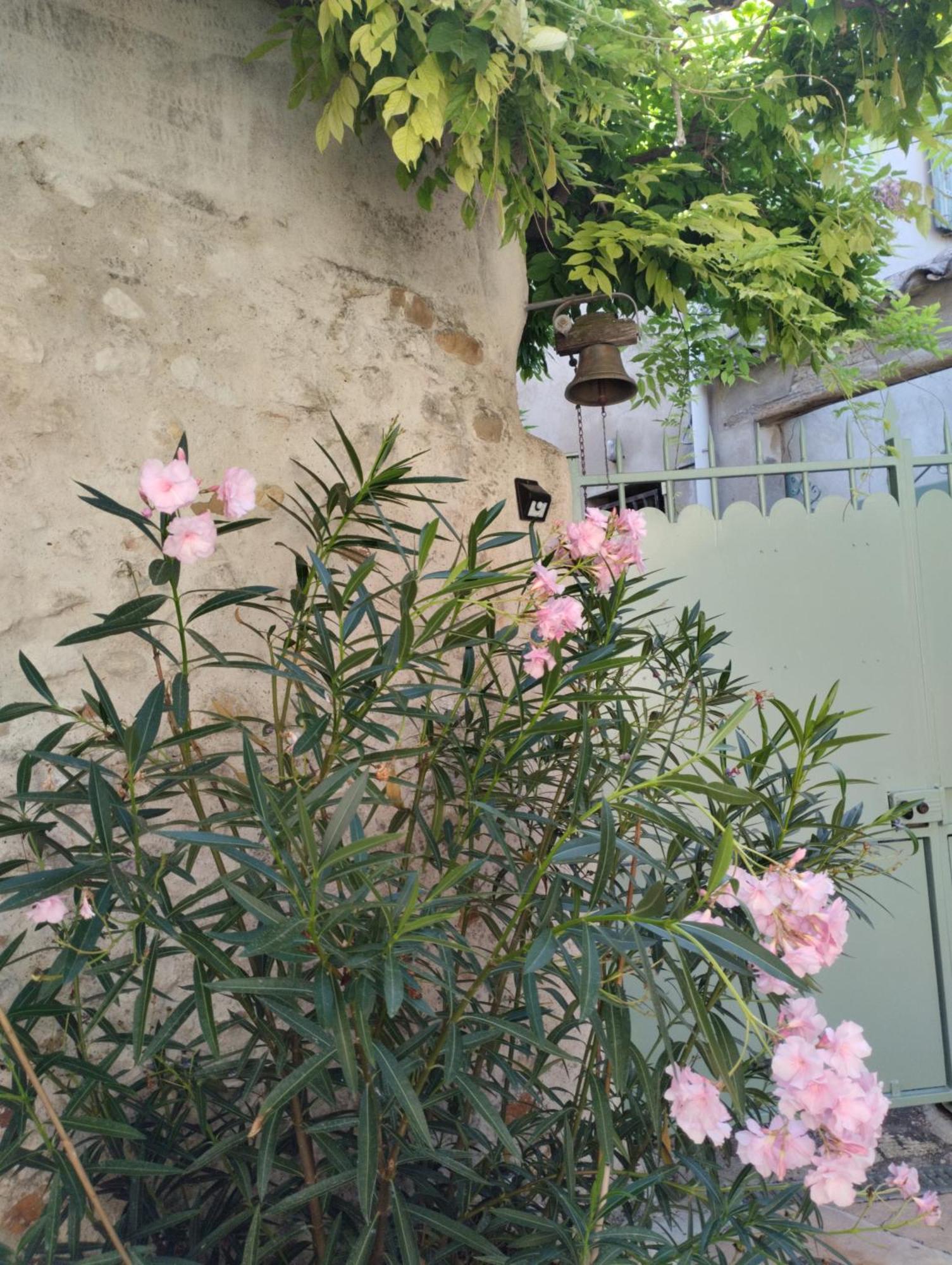 Chez Les Filles Bed & Breakfast Dions ภายนอก รูปภาพ