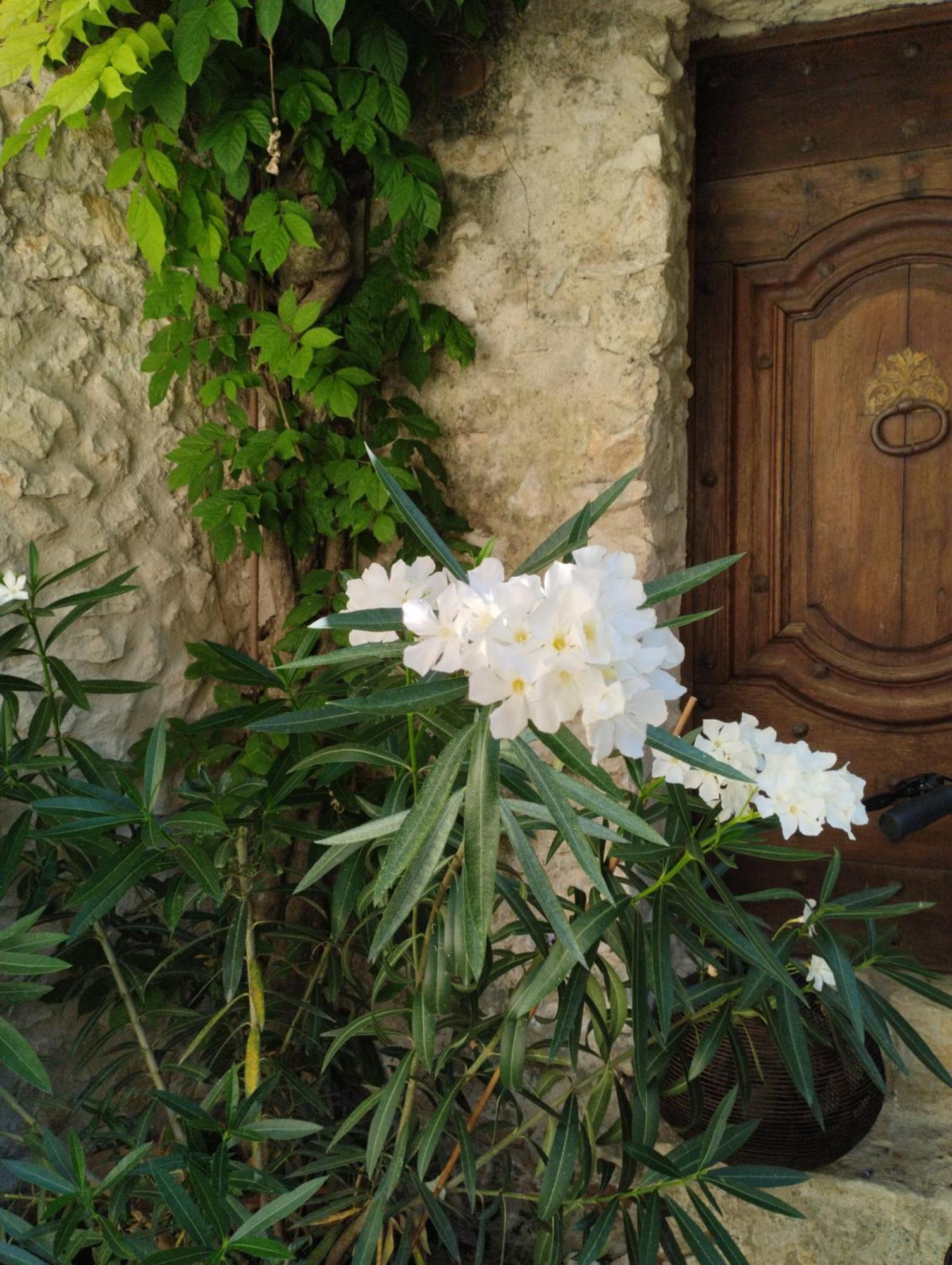 Chez Les Filles Bed & Breakfast Dions ภายนอก รูปภาพ